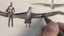 Painting a Pelagornis, the Largest Bird Ever to Fly