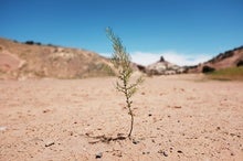 Climate Change Has Helped Fuel a Megadrought in the Southwest