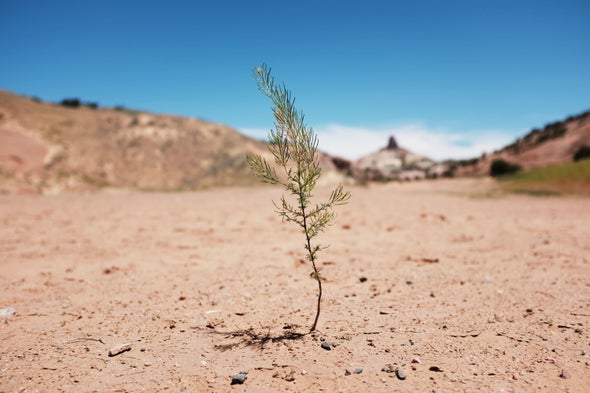 Climate Change Has Helped Fuel a Megadrought in the Southwest