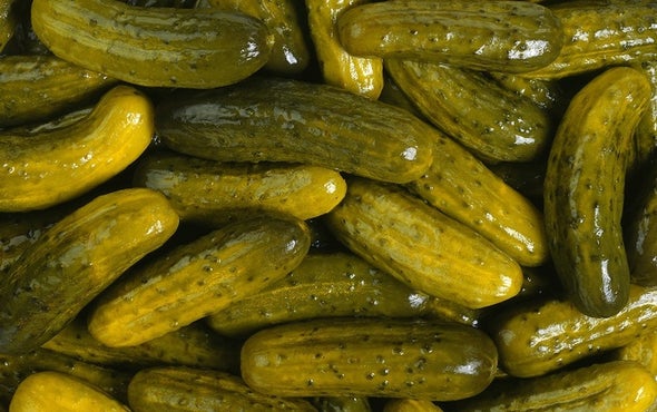 Fermented Foods Find Fervent Advocate
