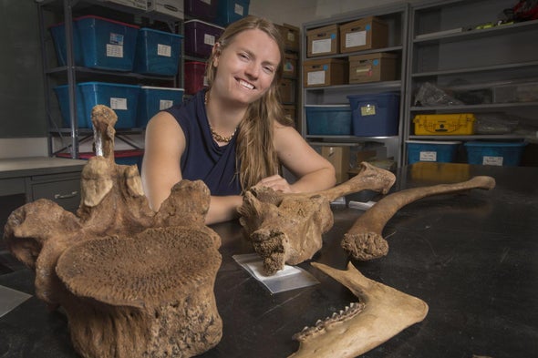 Underwater Archaeologists Find Ancient Butchering Site in Florida