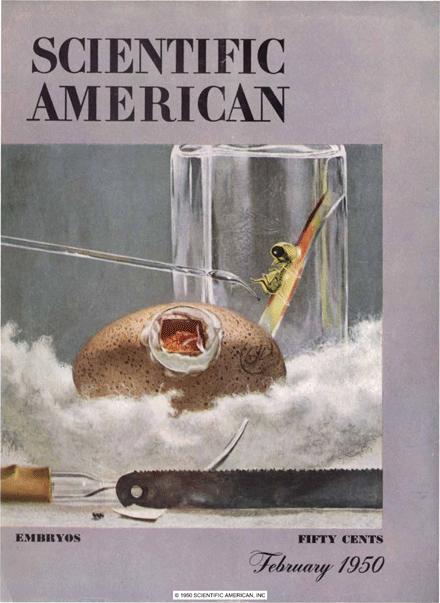 Scientific American Volume 182, Issue 2 | Scientific American