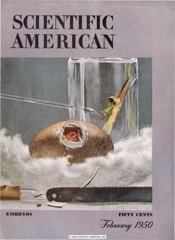 Scientific American Magazine Vol 182 Issue 2