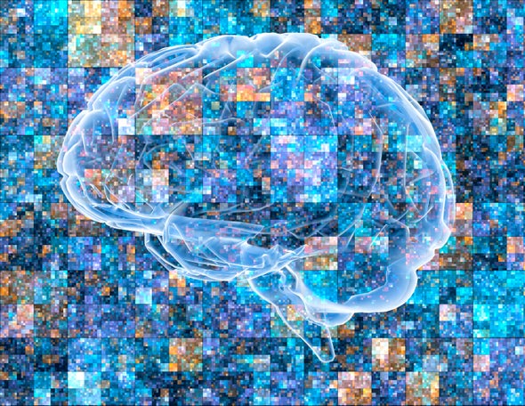 A Journey Through Alzheimer's Disease