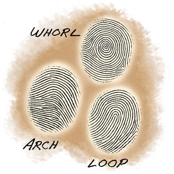 Succession Science Are Fingerprint Patterns Inherited Scientific Custom Fingerprint Patterns Succession Science Are Fingerprint Patterns Inherited Scientific Custom Fingerprint Patterns