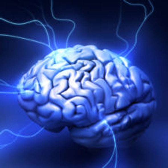 Cortical Call Out: The Brain's Electric Field Creates a Feedback Loop That Synchronizes Neural Activity