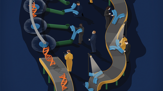 The Genetic Shortcut to Antibody Drugs