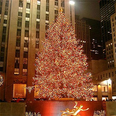 What Happens to the Rockefeller Center Christmas Tree After the Holidays?