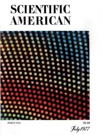 The Amateur Scientist, July 1977 - Scientific American