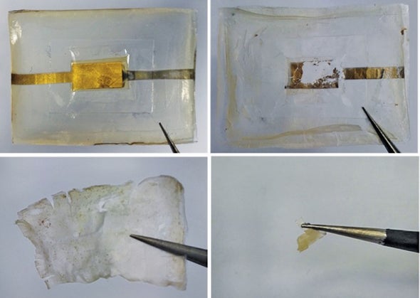 Tiny Silk Batteries Dissolve within Weeks