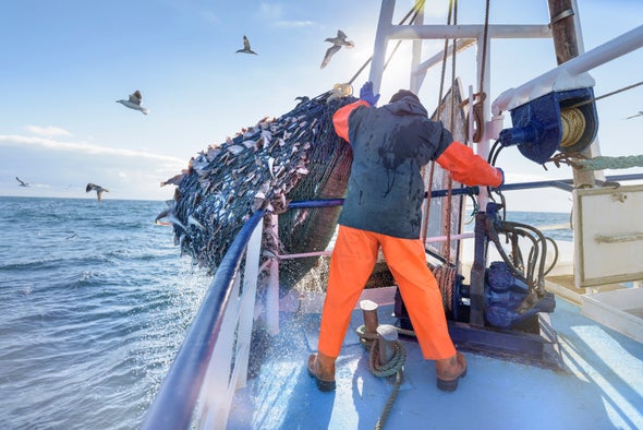 Activists Open an Online Window onto the Global Fishing Fleet