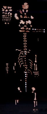Long-Lost Remains of Neandertal Newborn Recovered