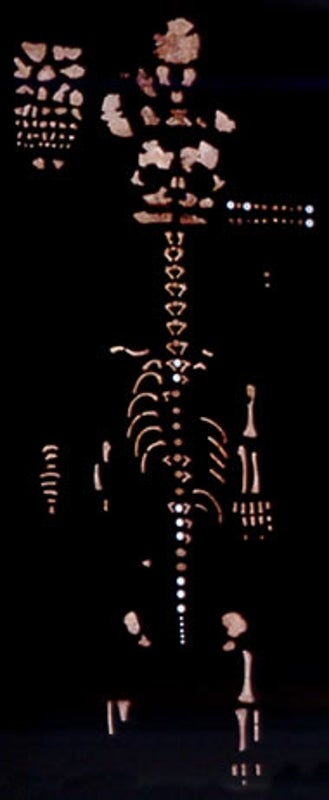 Long-Lost Remains of Neandertal Newborn Recovered