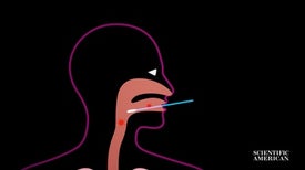 The Science behind How Coronavirus Tests Work