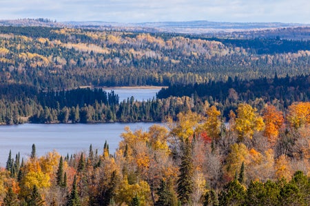 Aerial view of fall color scenery.