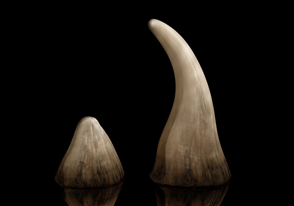 The Hard Truth about the Rhino Horn Aphrodisiac Market