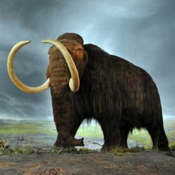 Fact or Fiction?: Mammoths Can Be Brought Back from Extinction