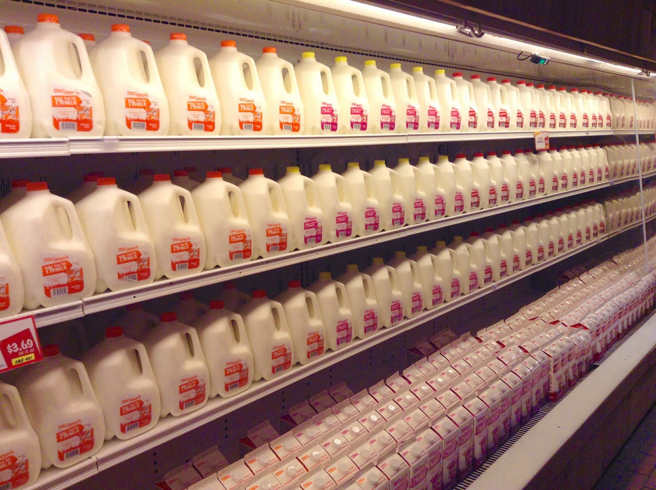 How Does Dairy Affect Your Hormone Levels? Scientific American