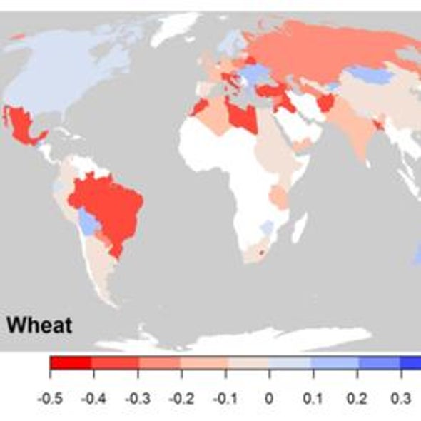 Cereal Killer: Climate Change Stunts Growth of Global Crop Yields