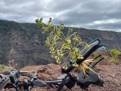 Drones Sample Rare Specimens from Cliffs and Other Dangerous Places