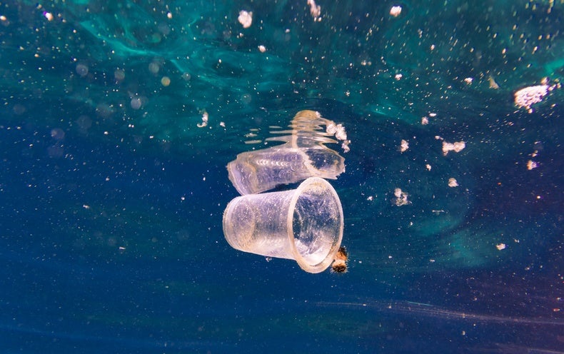The Deep Ocean Harbors a Mountain of Microplastic Pollution - Scientific  American