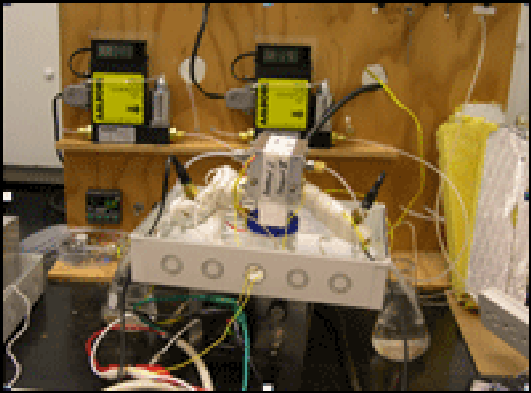 Closed System Opens Way for More Practical Fuel Cell