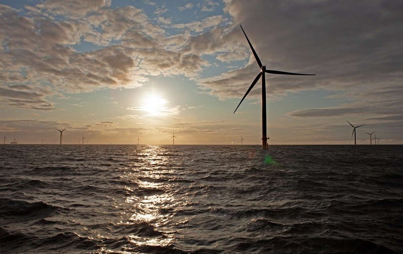 Photo of How Marine Wildlife can Coexist With Offshore Wind [Sponsored]