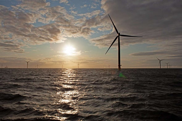 How Marine Wildlife Can Coexist with Offshore Wind [Sponsored]