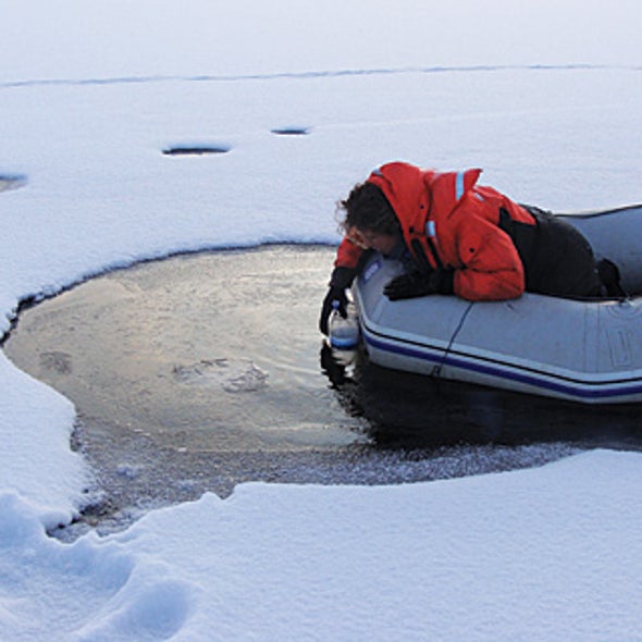 The Arctic Thaw Could Make Global Warming Worse