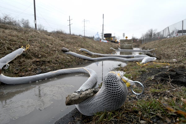 Tubelike devices soak up toxic substances in a roadside ditch.