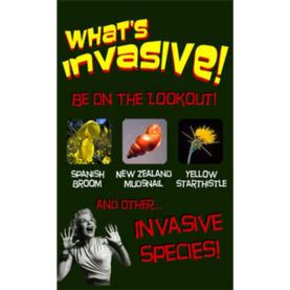What's Invasive!