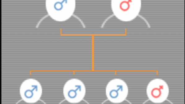 Having Older Brothers Increases a Man's Odds of Being Gay - Scientific ...