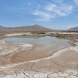 Rains Bring a Microbial Massacre to Chilean Desert