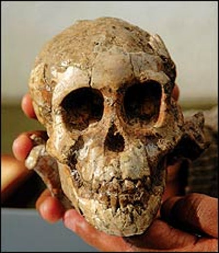 SELAM'S SKULL