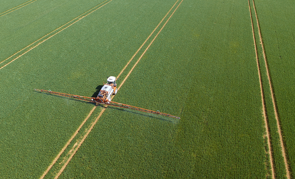 Pesticides on Our Plates: Is Our Food Safe to Eat?