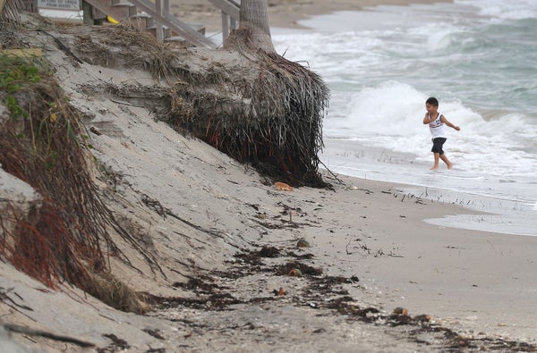 A small boy plays near eroded shoreline.