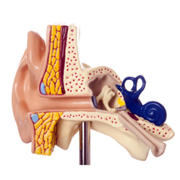 Medical Mystery: How Can Some People Hear Their Own Eyeballs Move?