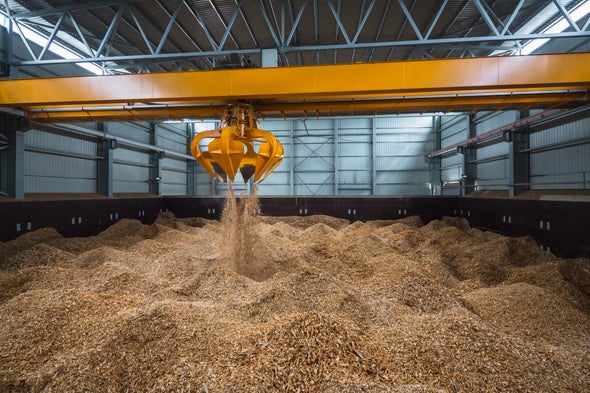 EPA Declares Biomass Plants Carbon Neutral, Amid Scientific Disagreement