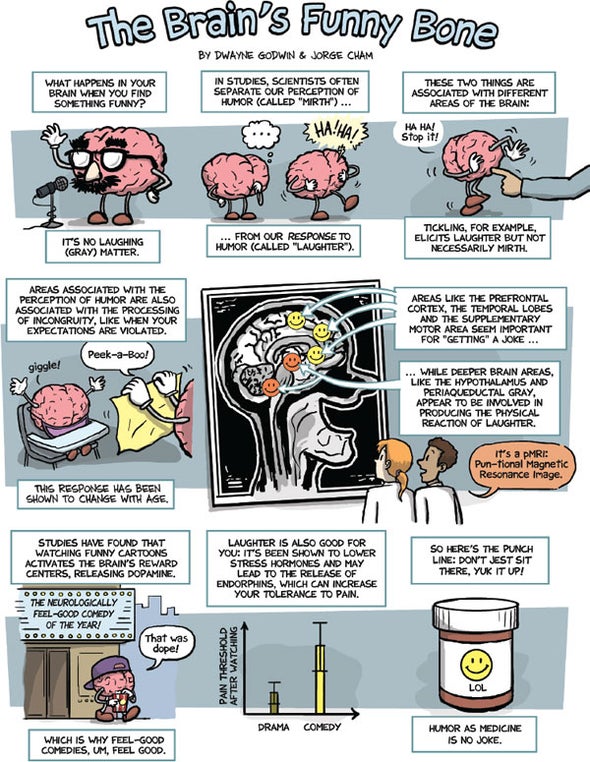 Locating the Brain's Funny Bone