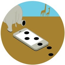 New App Tracks Black Rhinos through Their Footprints