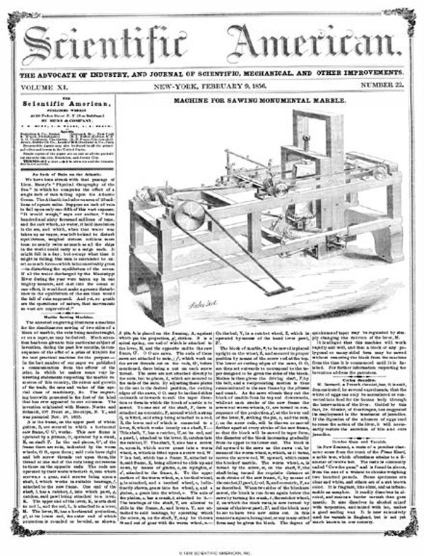 Scientific American Magazine Vol 11 Issue 22