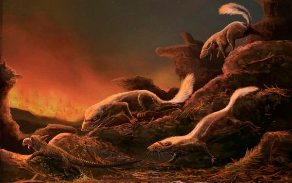 Biology News and Research - Scientific American