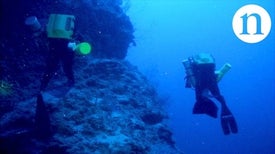 飓风中的珊瑚：威胁下的深礁