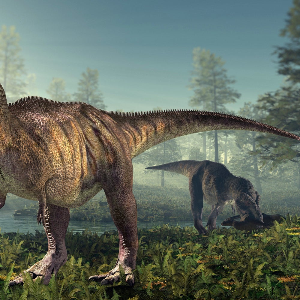 How Smart Were Dinosaurs? New Studies Fuel the Debate | Scientific American