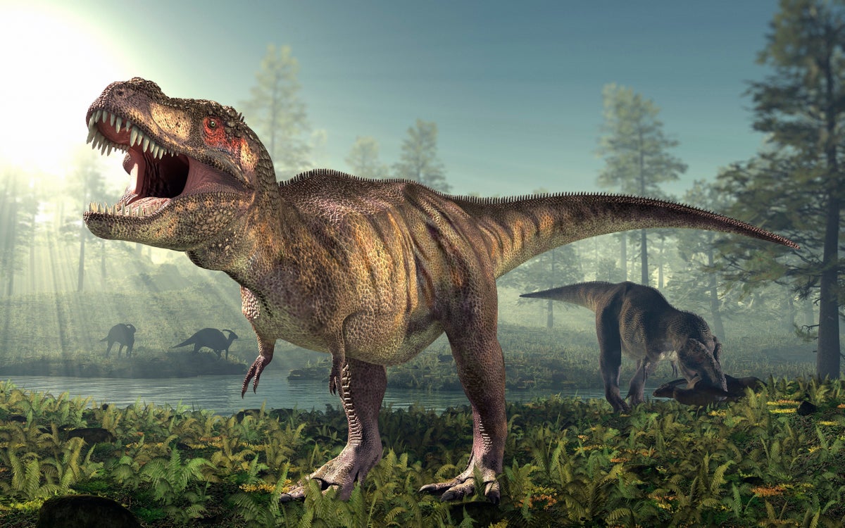 Scientists say dinosaurs were already disappearing before giant