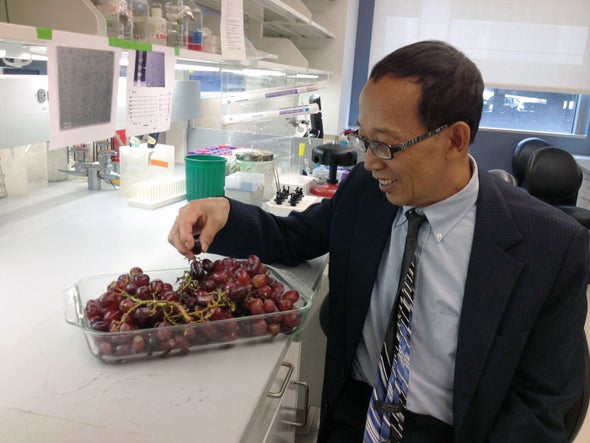 Do the microRNAs We Eat Affect Gene Expression?